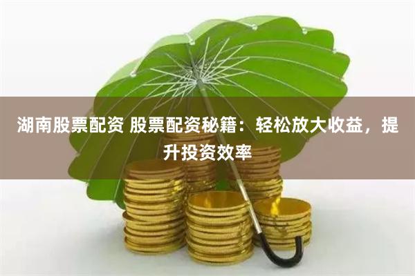 湖南股票配资 股票配资秘籍：轻松放大收益，提升投资效率