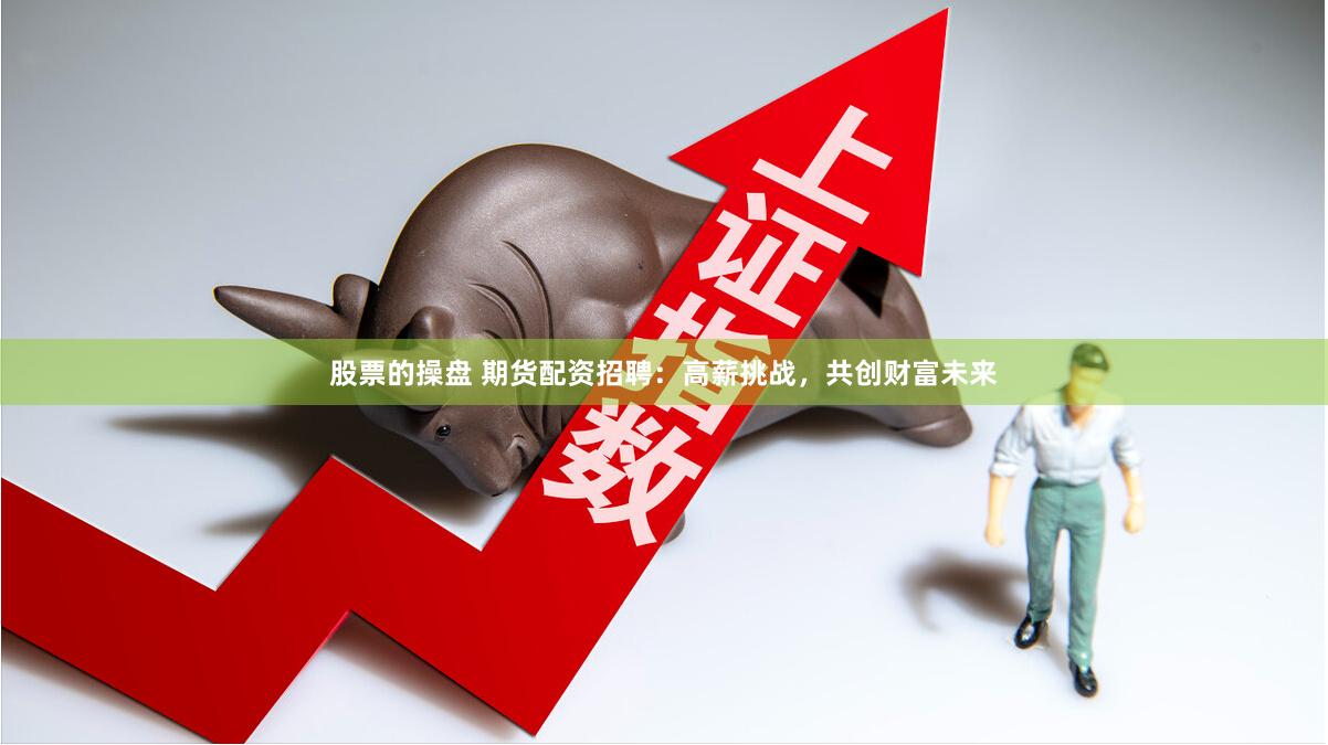 股票的操盘 期货配资招聘：高薪挑战，共创财富未来