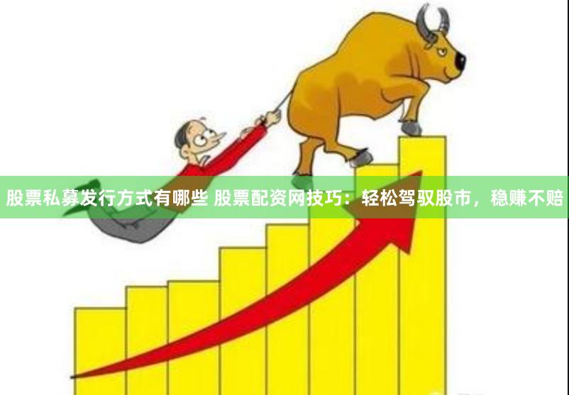 股票私募发行方式有哪些 股票配资网技巧：轻松驾驭股市，稳赚不赔