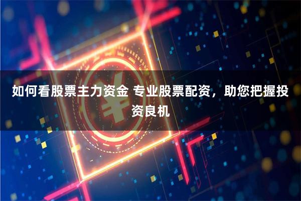 如何看股票主力资金 专业股票配资，助您把握投资良机