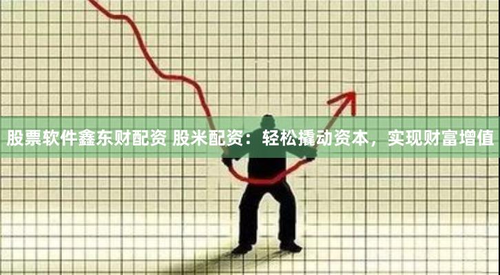 股票软件鑫东财配资 股米配资：轻松撬动资本，实现财富增值