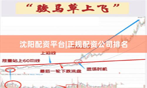 沈阳配资平台|正规配资公司排名