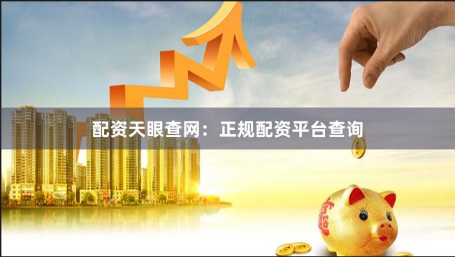 配资天眼查网：正规配资平台查询