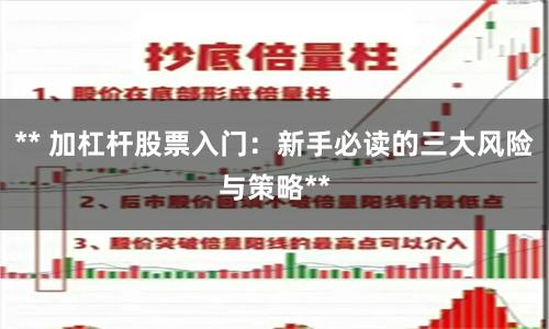 ** 加杠杆股票入门：新手必读的三大风险与策略**